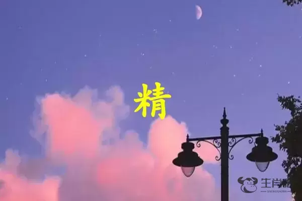 精字打一生肖（精字是什么生肖）插图1