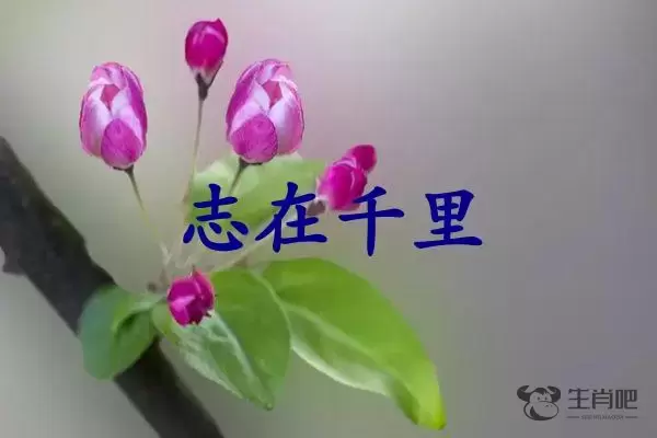 志在千里是什么生肖插图