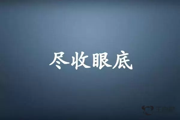 尽收眼底是什么生肖插图