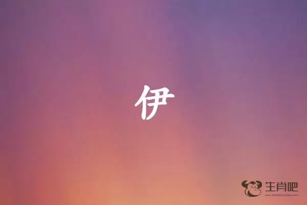 伊字打一生肖（伊字是什么生肖）插图