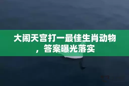 大闹天宫打一最佳生肖动物，答案曝光落实插图