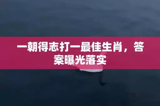 一朝得志打一最佳生肖，答案曝光落实插图