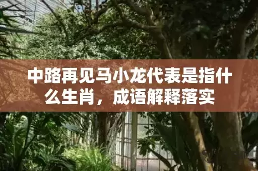 中路再见马小龙代表是指什么生肖，成语解释落实插图