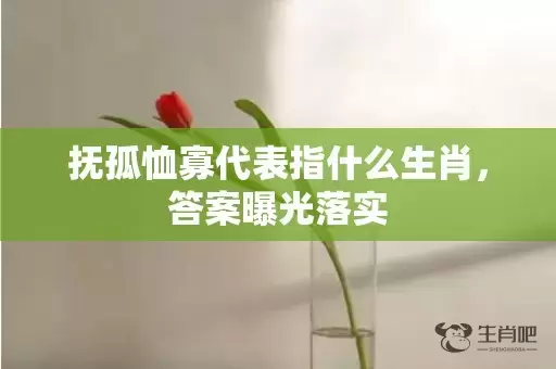 抚孤恤寡代表指什么生肖，答案曝光落实插图