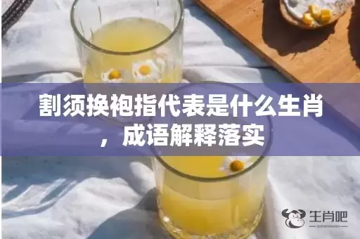 割须换袍指代表是什么生肖，成语解释落实插图