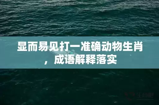 显而易见打一准确动物生肖，成语解释落实插图