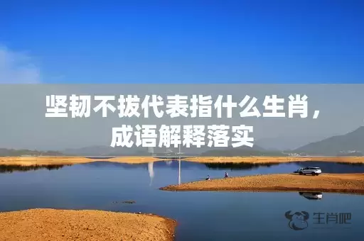 坚韧不拔代表指什么生肖，成语解释落实插图