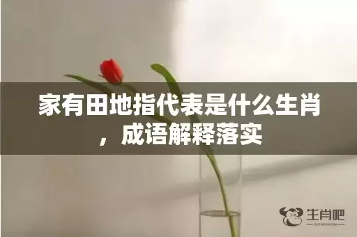 家有田地指代表是什么生肖，成语解释落实插图