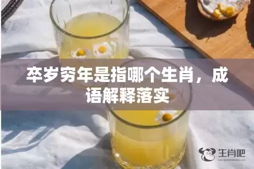 卒岁穷年是指哪个生肖，成语解释落实插图