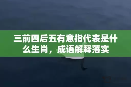 三前四后五有意指代表是什么生肖，成语解释落实插图