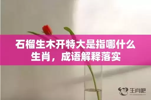 石榴生木开特大是指哪什么生肖，成语解释落实插图