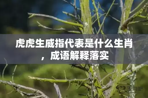 虎虎生威指代表是什么生肖，成语解释落实插图