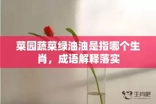 菜园蔬菜绿油油是指哪个生肖，成语解释落实插图