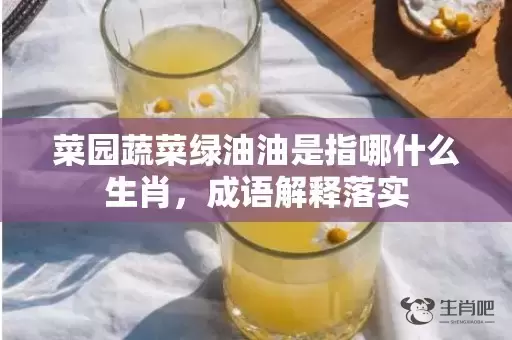 菜园蔬菜绿油油是指哪什么生肖，成语解释落实插图