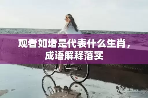 观者如堵是代表什么生肖，成语解释落实插图