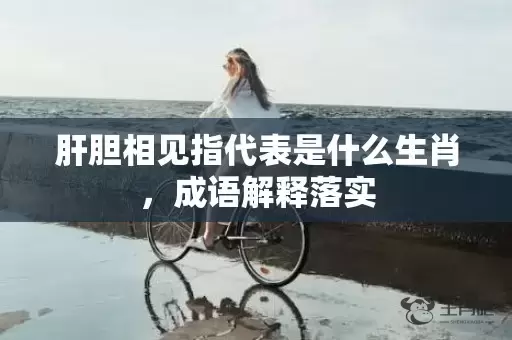 肝胆相见指代表是什么生肖，成语解释落实插图