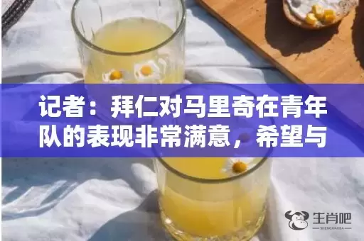 记者：拜仁对马里奇在青年队的表现非常满意，希望与他续约插图