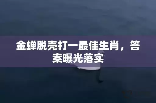 金蝉脱壳打一最佳生肖，答案曝光落实插图