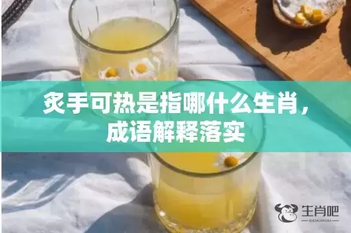 炙手可热是指哪什么生肖，成语解释落实插图