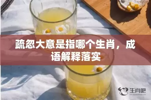 疏忽大意是指哪个生肖，成语解释落实插图