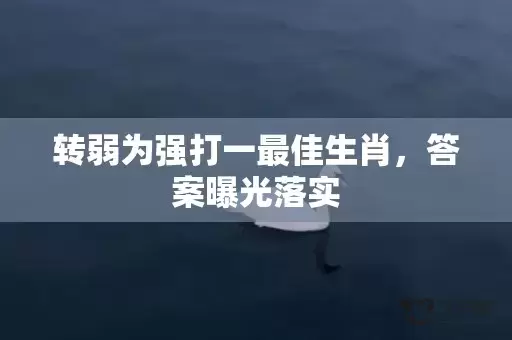 转弱为强打一最佳生肖，答案曝光落实插图