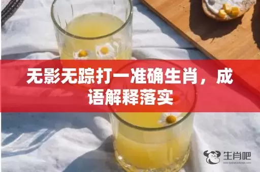 无影无踪打一准确生肖，成语解释落实插图