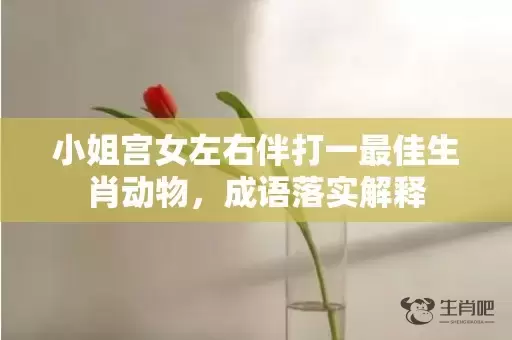 小姐宫女左右伴打一最佳生肖动物，成语落实解释插图