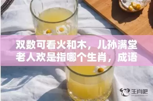 双数可看火和木，儿孙满堂老人欢是指哪个生肖，成语落实解释插图