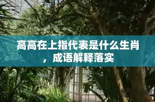 高高在上指代表是什么生肖，成语解释落实插图