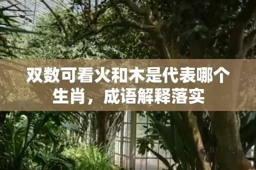 双数可看火和木是代表哪个生肖，成语解释落实插图