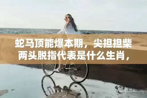 蛇马顶能爆本期，尖担担柴两头脱指代表是什么生肖，成语解释落实插图