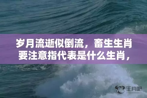 岁月流逝似倒流，畜生生肖要注意指代表是什么生肖，成语解释落实插图