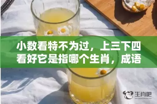 小数看特不为过，上三下四看好它是指哪个生肖，成语解释落实插图