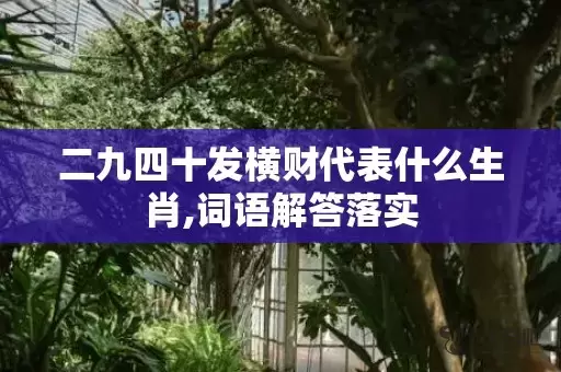 二九四十发横财代表什么生肖,词语解答落实插图