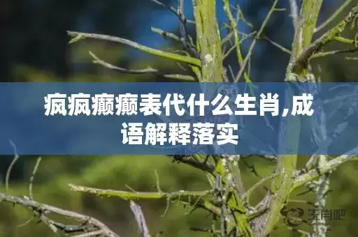 疯疯癫癫表代什么生肖,成语解释落实插图