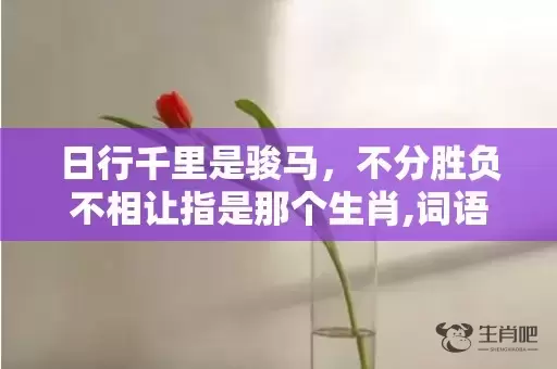 日行千里是骏马，不分胜负不相让指是那个生肖,词语释义解释落实插图