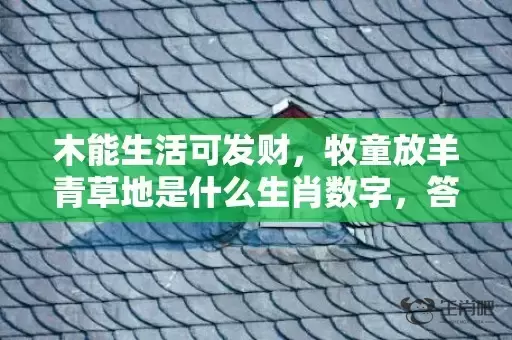 木能生活可发财，牧童放羊青草地是什么生肖数字，答案精选落实插图