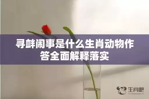 寻衅闹事是什么生肖动物作答全面解释落实插图