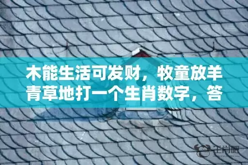 木能生活可发财，牧童放羊青草地打一个生肖数字，答案解释释义落实插图