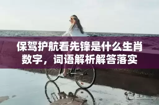 保驾护航看先锋是什么生肖数字，词语解析解答落实插图