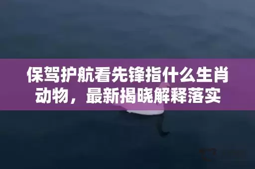 保驾护航看先锋指什么生肖动物，最新揭晓解释落实插图