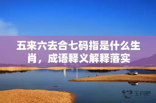 五来六去合七码指是什么生肖，成语释义解释落实插图