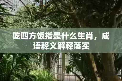 吃四方饭指是什么生肖，成语释义解释落实插图