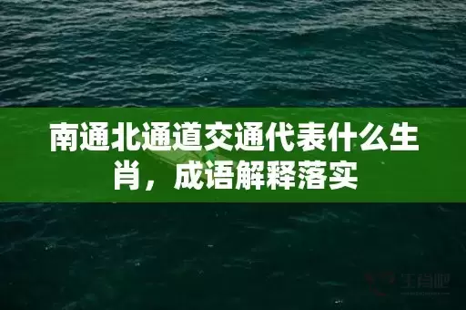 南通北通道交通代表什么生肖，成语解释落实插图