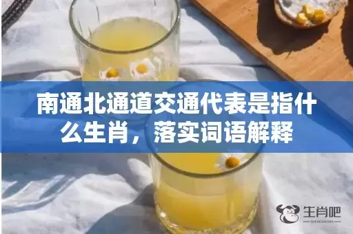 南通北通道交通代表是指什么生肖，落实词语解释插图