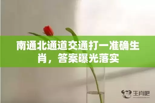 南通北通道交通打一准确生肖，答案曝光落实插图