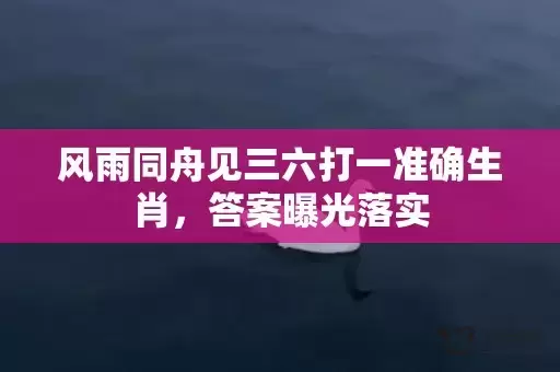 风雨同舟见三六打一准确生肖，答案曝光落实插图