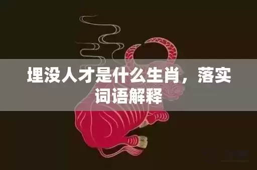 埋没人才是什么生肖，落实词语解释插图