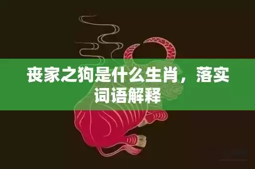 丧家之狗是什么生肖，落实词语解释插图