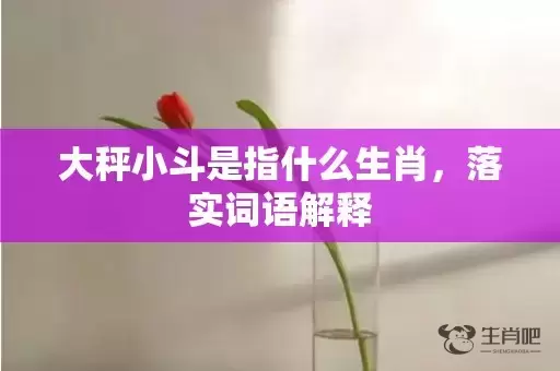 大秤小斗是指什么生肖，落实词语解释插图